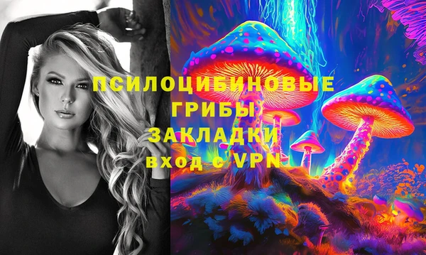 mix Богородицк